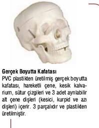 Kuru Kafa Maketi