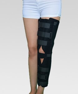 Posterior Shell Diz Sabitleyici .